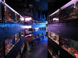 Fish room Aisle