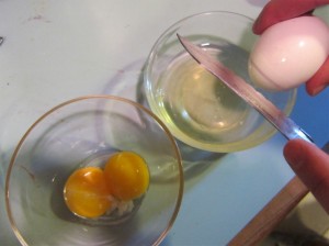 egg yolks