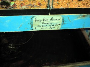 Sign showing price of rosy reds